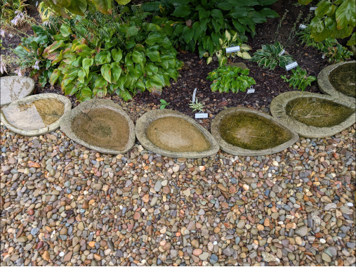 Cement Picture